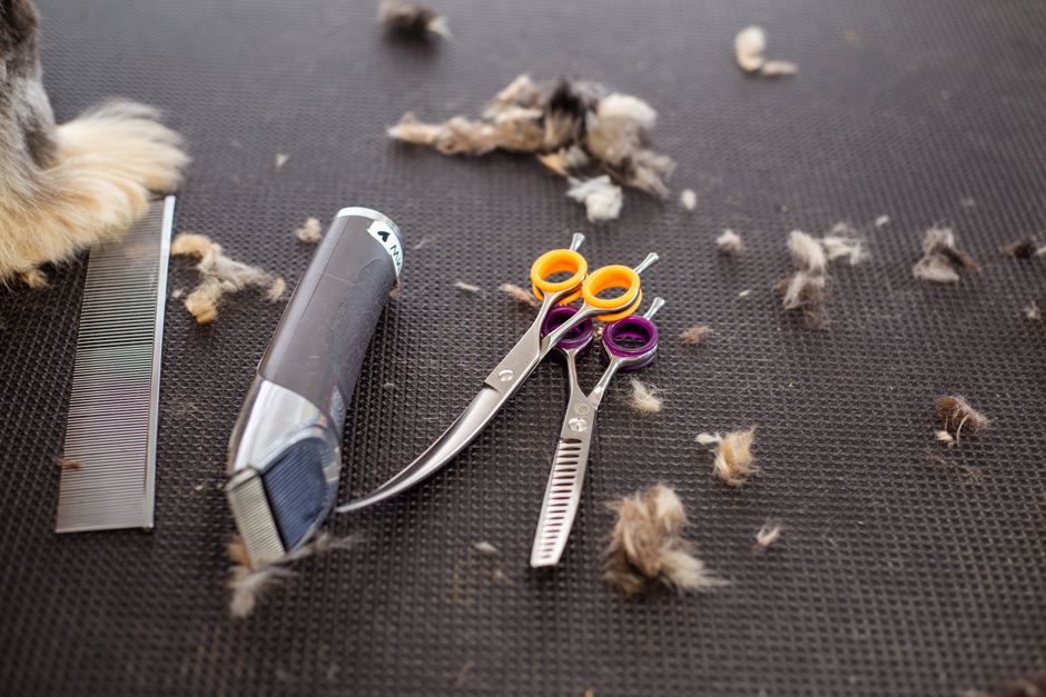 Close-up of grooming tools including scissors, trimmer, and pet fur on a black mat.